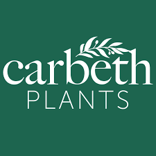 Carbeth Plants